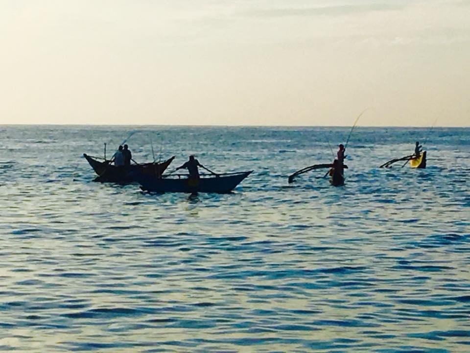 Encuentros insólitos en el país del oro verde - Las playas del sur de Sri Lanka - Foto del día