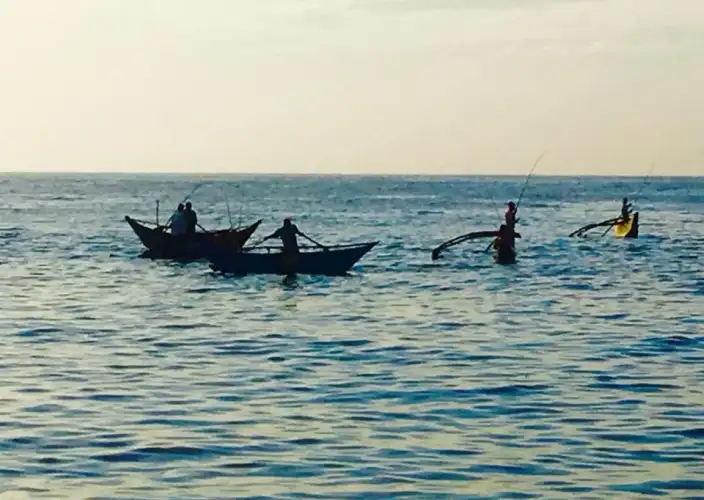 Encuentros insólitos en el país del oro verde - Las playas del sur de Sri Lanka - Photo du jour