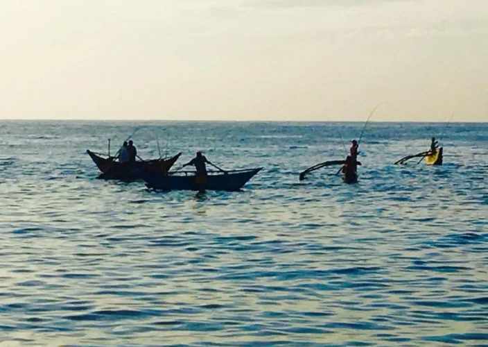 Rencontres insolites au pays de l’or vert - Les plages du sud du Sri Lanka - Photo du jour