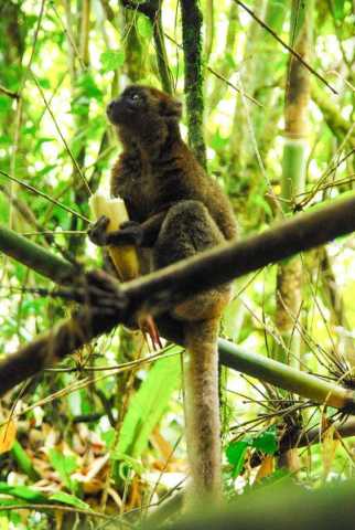 DAS TERRAS ALTAS AOS LITORAIS DO CANAL DE MOÇAMBIQUE