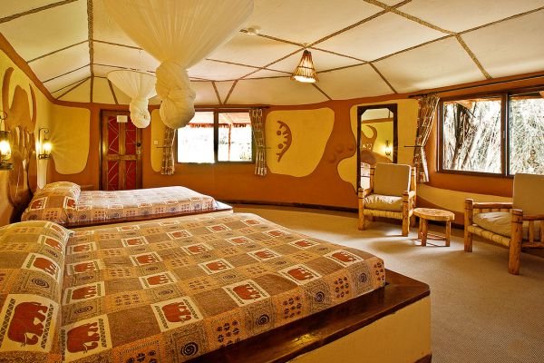 Kenya Swahili Heritage, Mombasa and Amboseli Safari - Full-Day Amboseli National Park - Photo of the day