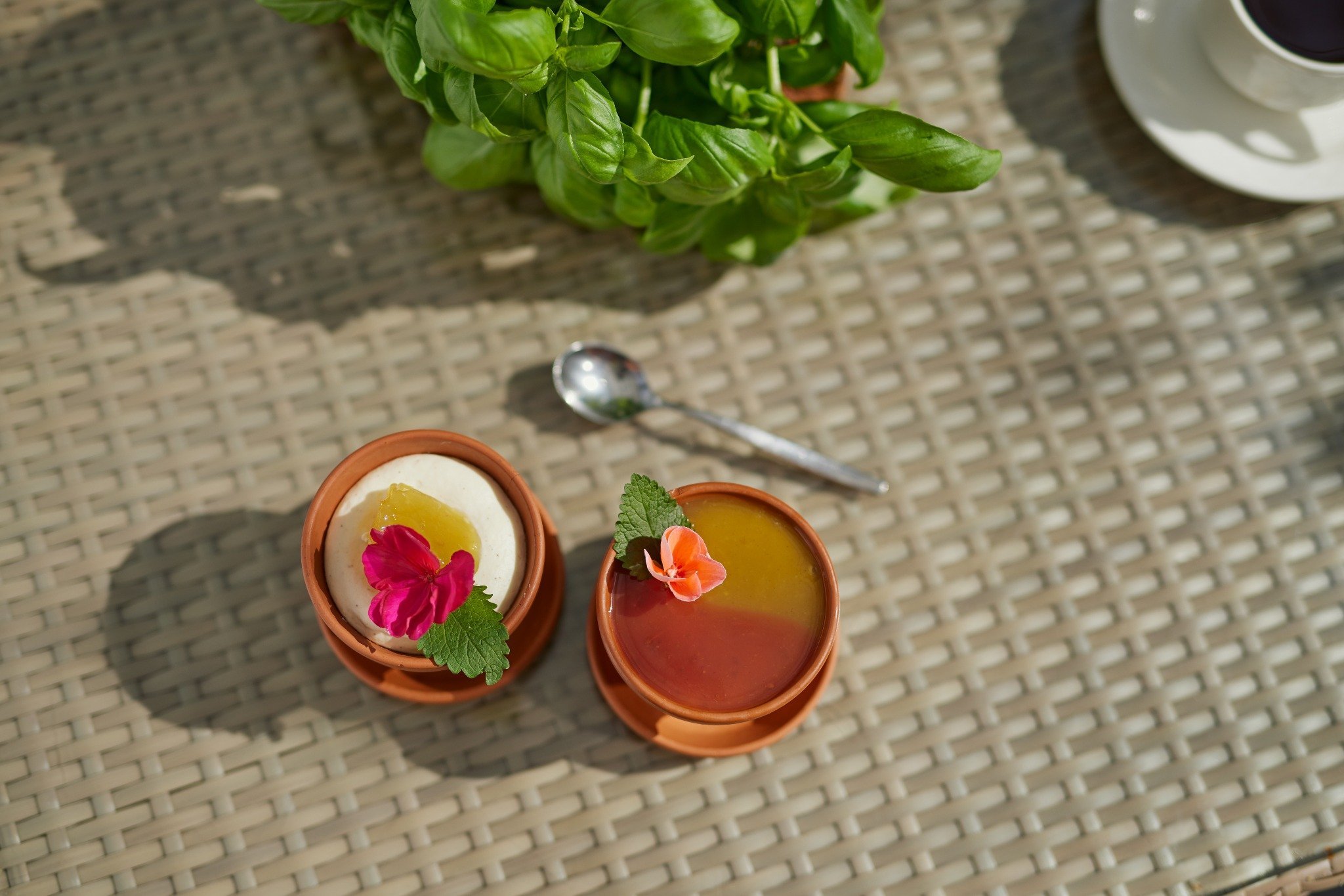 Círculo Dorado, Granja de Tomates Friðheimar y Laguna Laugarás - Granja de Tomates Friðheimar - Foto del día