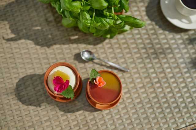 Círculo Dorado, Granja de Tomates Friðheimar y Laguna Laugarás