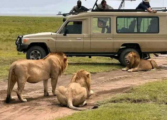 Safari à Mikumi en 2 jours — En train et par la route