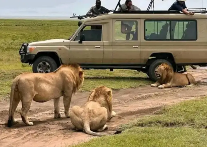Safari à Mikumi en 2 jours — En train et par la route - Safari dans le parc Mikumi | Morogoro | Retour à Dar es Salaam - Photo du jour