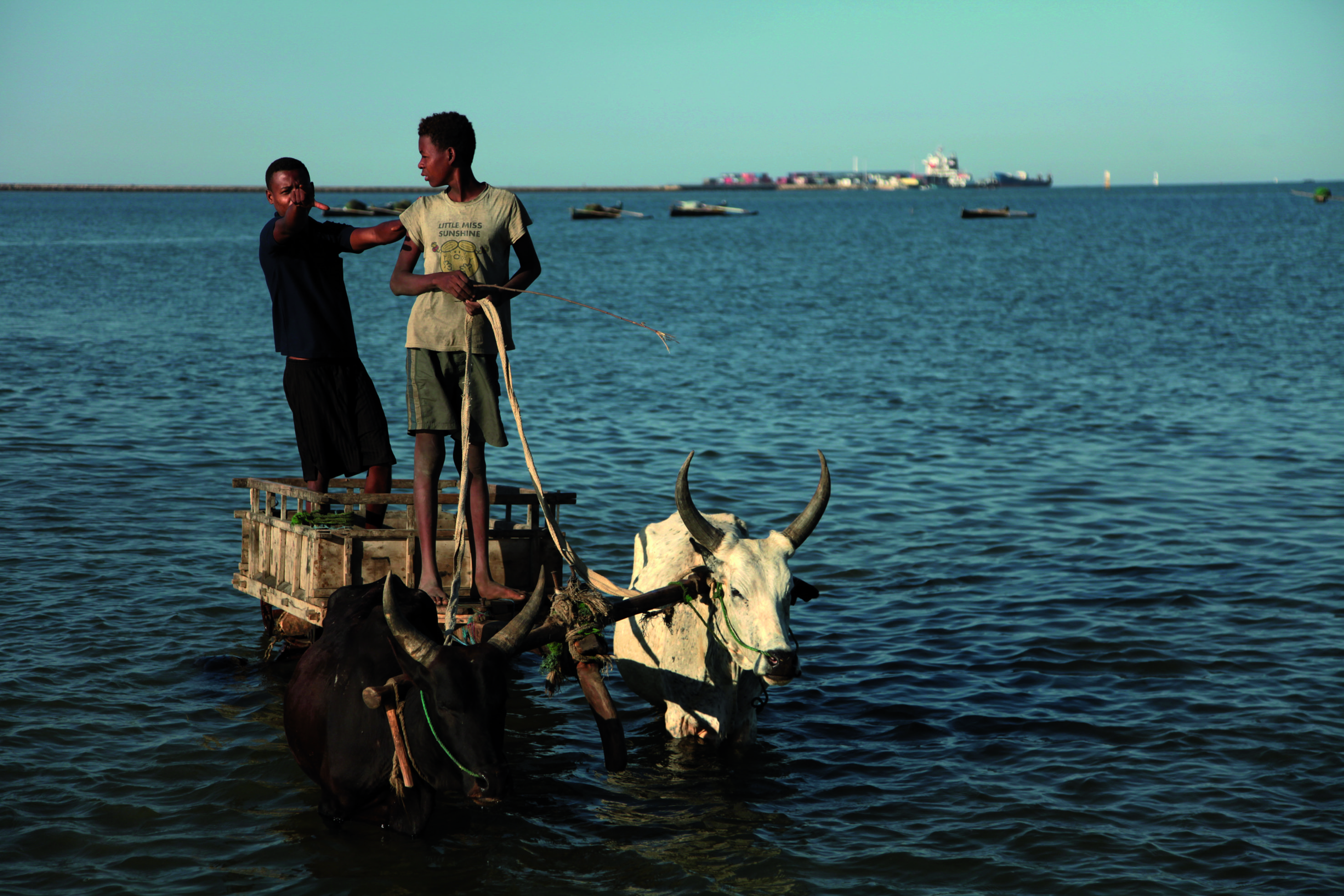 De ontdekking van het Zuiden en het Noorden - Route naar Tuléar - Route vers Tuléar