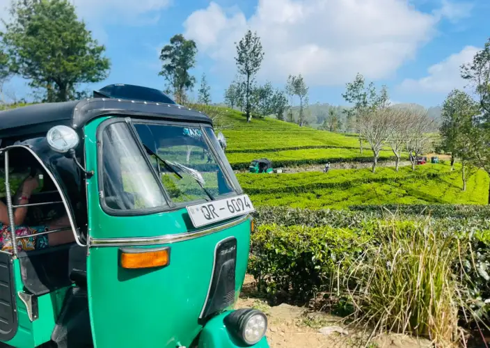 Encuentros insólitos en el país del oro verde - Las plantaciones de té de Lipton Seat en tuk-tuk - Photo du jour