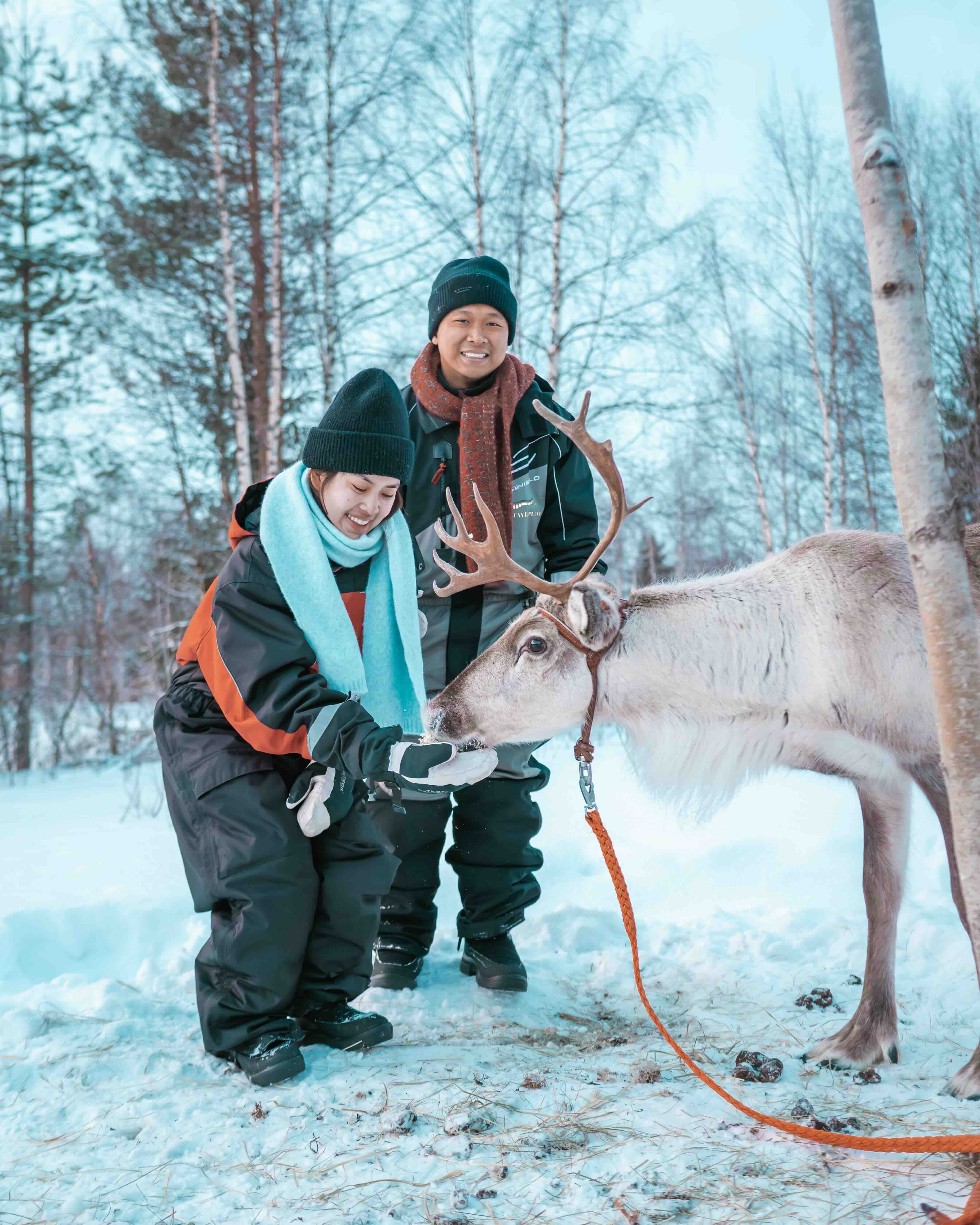 Retiro Ártico del Cartero - Abraza la magia de Laponia - Foto del día