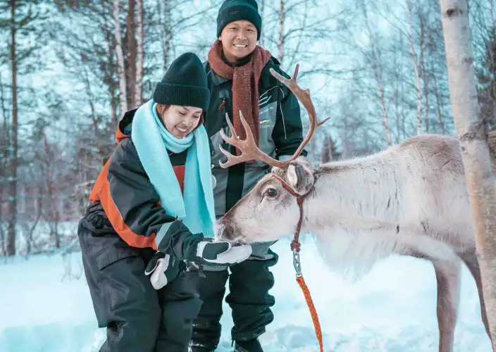 Retiro Ártico del Cartero - Abraza la magia de Laponia - Foto del día