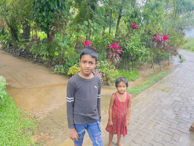 Ongewone ontmoetingen in het land van het groene goud