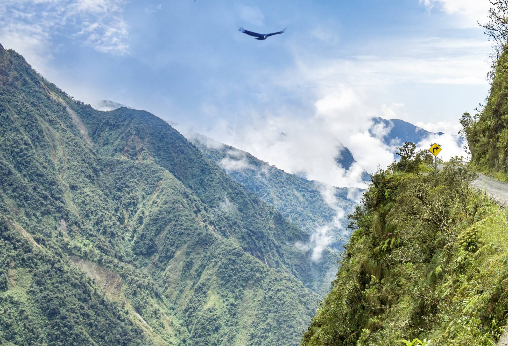 Op zoek naar Eldorado - Flotel - Flotel