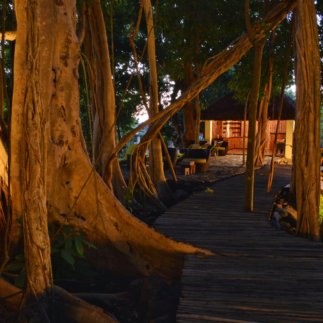 🌴 7-day getaway to Nosy Be - Massage & free afternoon - Photo of the day