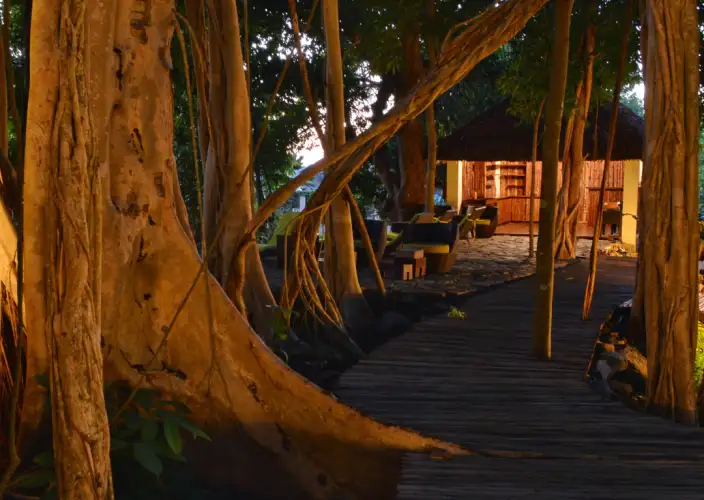 🌴 7-day getaway to Nosy Be - Massage & free afternoon - Photo of the day