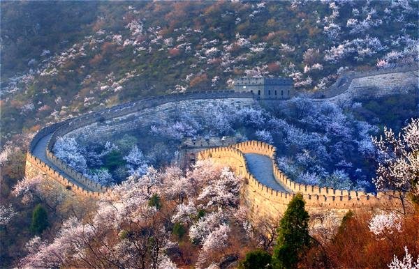 8-Day Golden Triangle Tour to Beijing, Xi'an & Shanghai - Excursion to Mutianyu Great Wall & Explore Local Hutongs - Mutianyu Great Wall