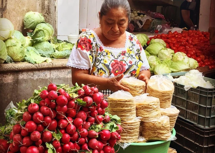 O circuito de Yucatán ☀️ - Imersão maia autêntica: viagem no tempo - Foto do dia
