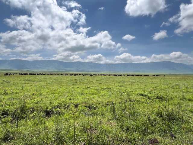 The Classic Northern Circuit Safari Experience