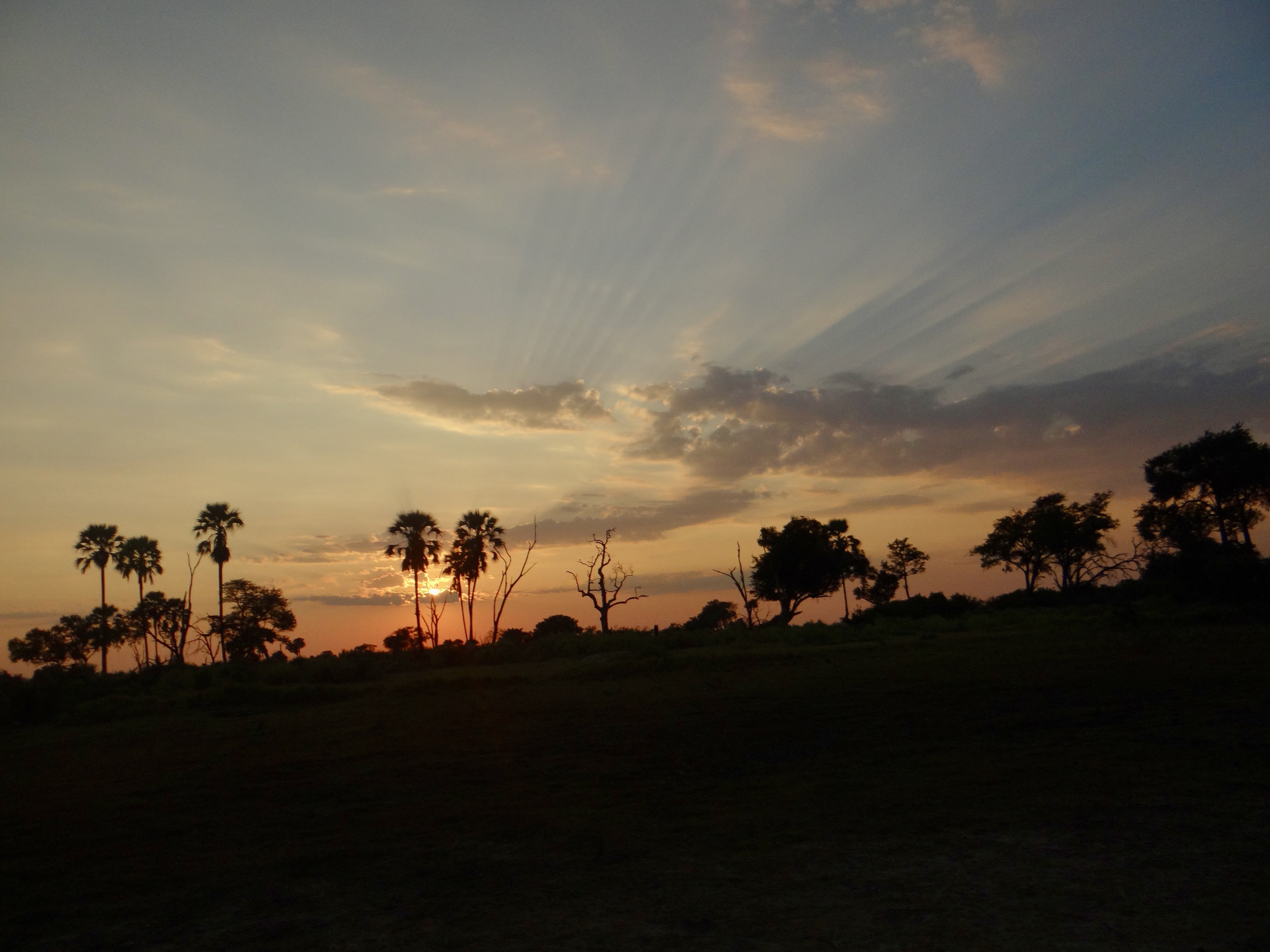 Cataratas Vitória & Botswana - Volta para Maun - Foto do dia