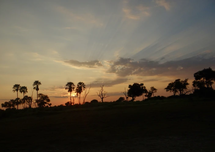 Cataratas Vitória & Botswana - Volta para Maun - Foto do dia