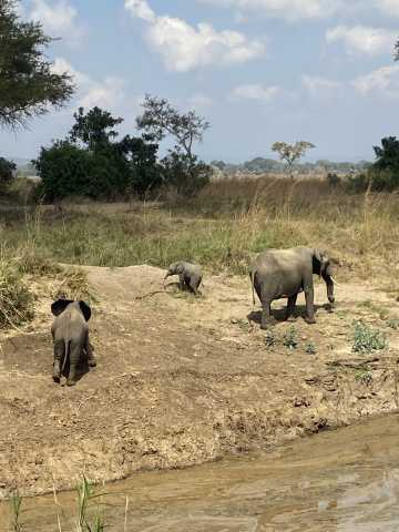 13 jours en Tanzanie et à Zanzibar : un excellent rapport qualité-prix