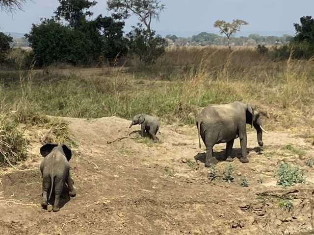 13 jours en Tanzanie et à Zanzibar : un excellent rapport qualité-prix