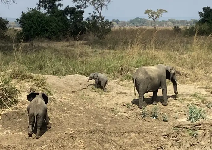 13-daagse Tanzania en Zanzibar waar voor je geld - Safari in Tarangire - Foto del día