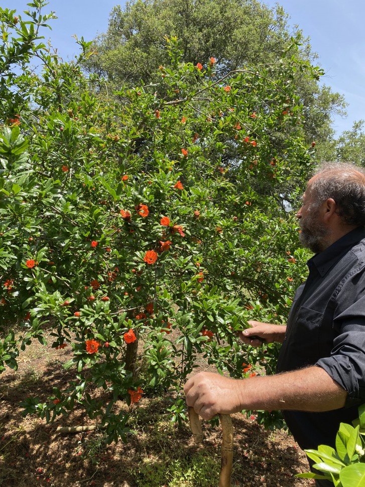 From east to west: complete self-drive tour of Crete at your own pace - Live like a Cretan! - Photo of the day
