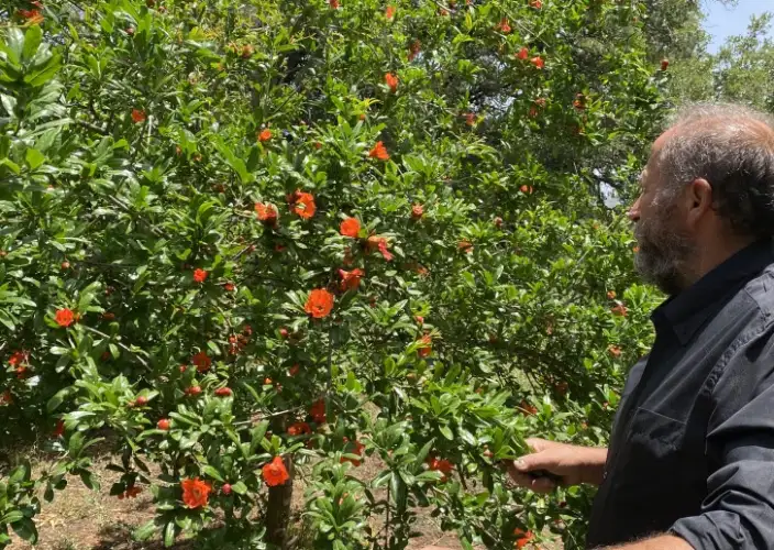 From east to west: complete self-drive tour of Crete at your own pace - Live like a Cretan! - Photo of the day