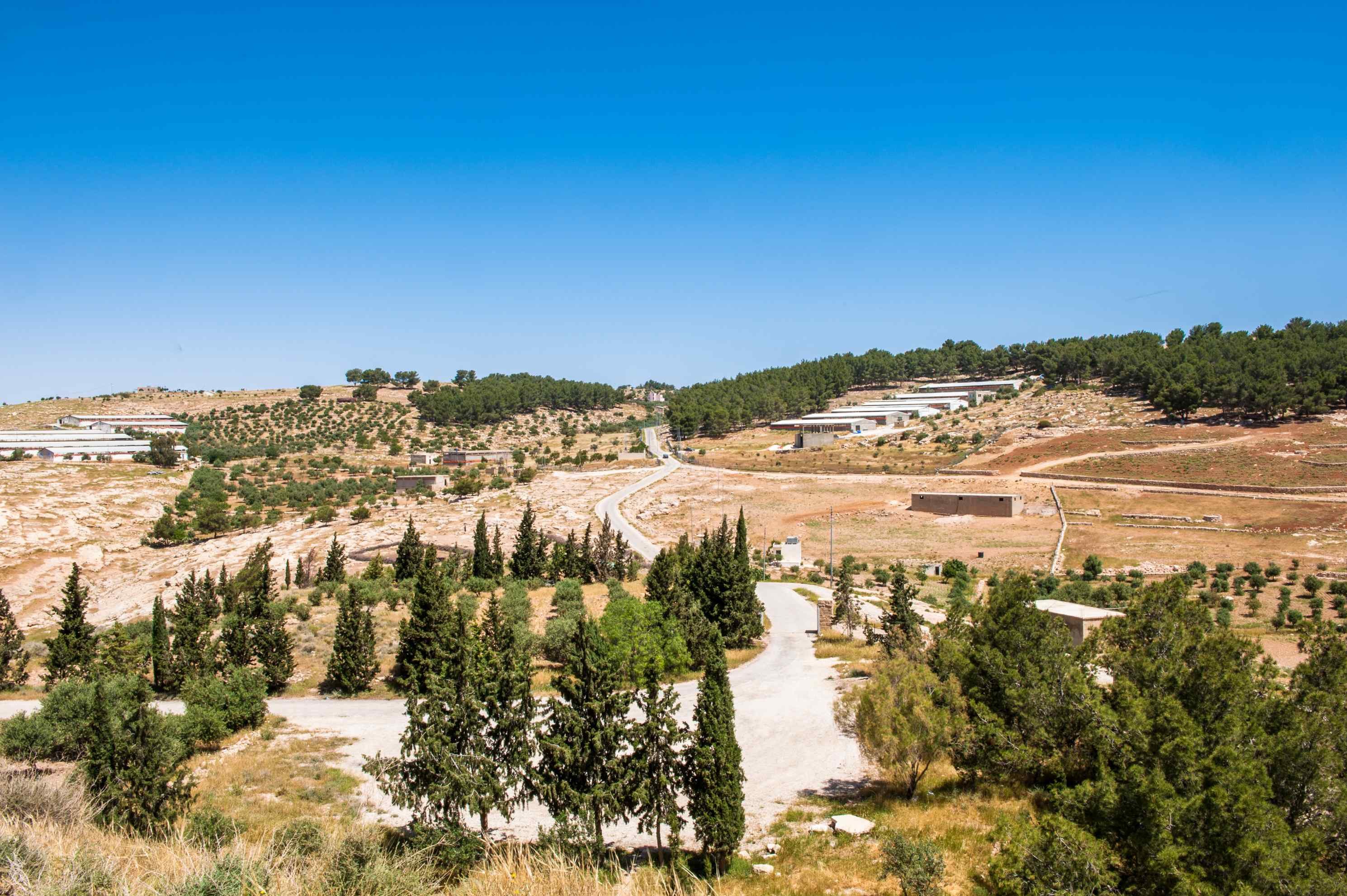 Jordania ecológica - Wadi Rum, monte Nebo, Madaba - Wadi Rum, mont Nébo, Madaba