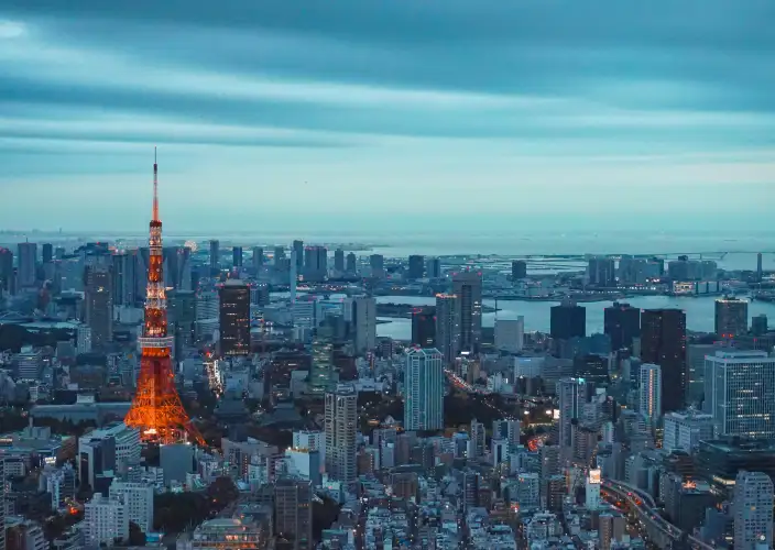 Japón bajo los cerezos en flor - Tokio - Foto del día