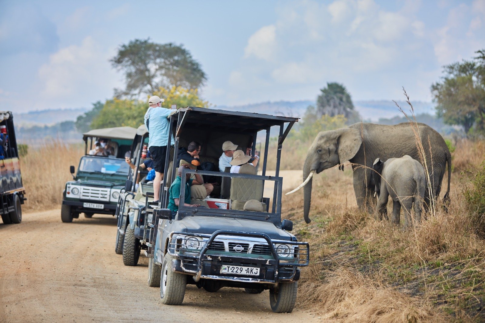 Safari à Mikumi en 2 jours — En train et par la route - Safari dans le parc Mikumi | Morogoro | Retour à Dar es Salaam - Photo du jour