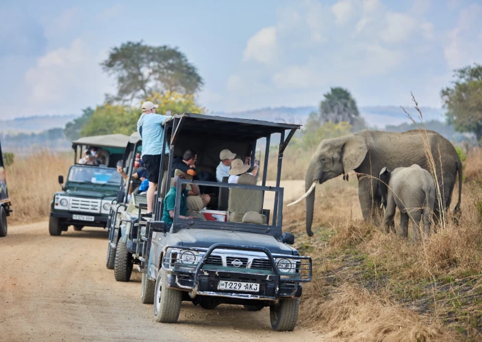 Safari à Mikumi en 2 jours — En train et par la route - Safari dans le parc Mikumi | Morogoro | Retour à Dar es Salaam - Photo du jour