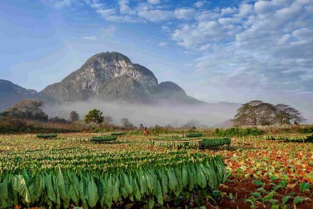 Cuba, discovery by rental car
