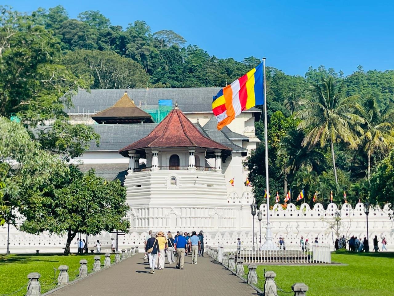 Encuentros insólitos en el país del oro verde - Ruta hacia Kandy - Foto del día