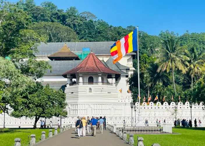 Encuentros insólitos en el país del oro verde - Ruta hacia Kandy - Photo du jour