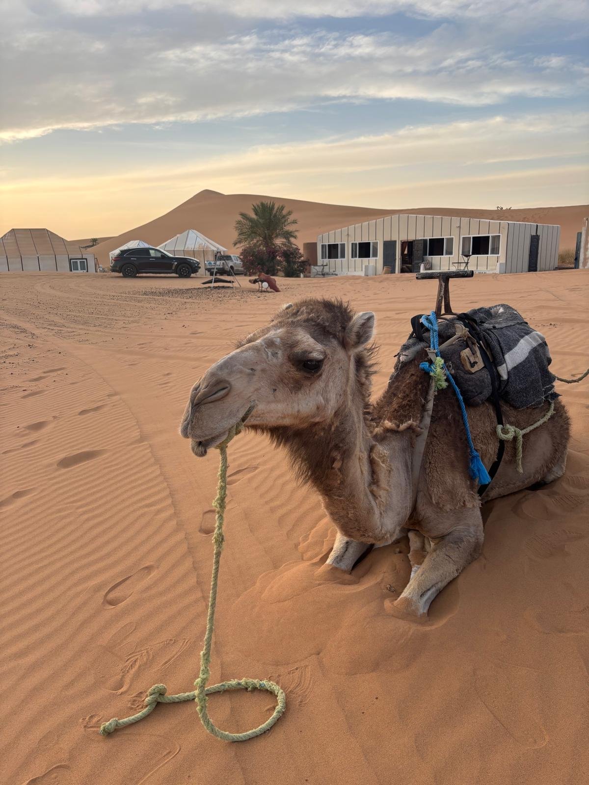 Gran Tour de Marruecos - Midelt - Erfoud - Merzouga 4h 0min (263 km) - Foto del día