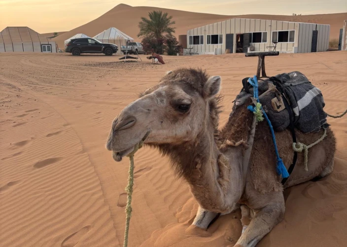 Grand Tour van Marokko - Midelt - Erfoud - Merzouga 4u 0min (263 km) - Foto van de dag