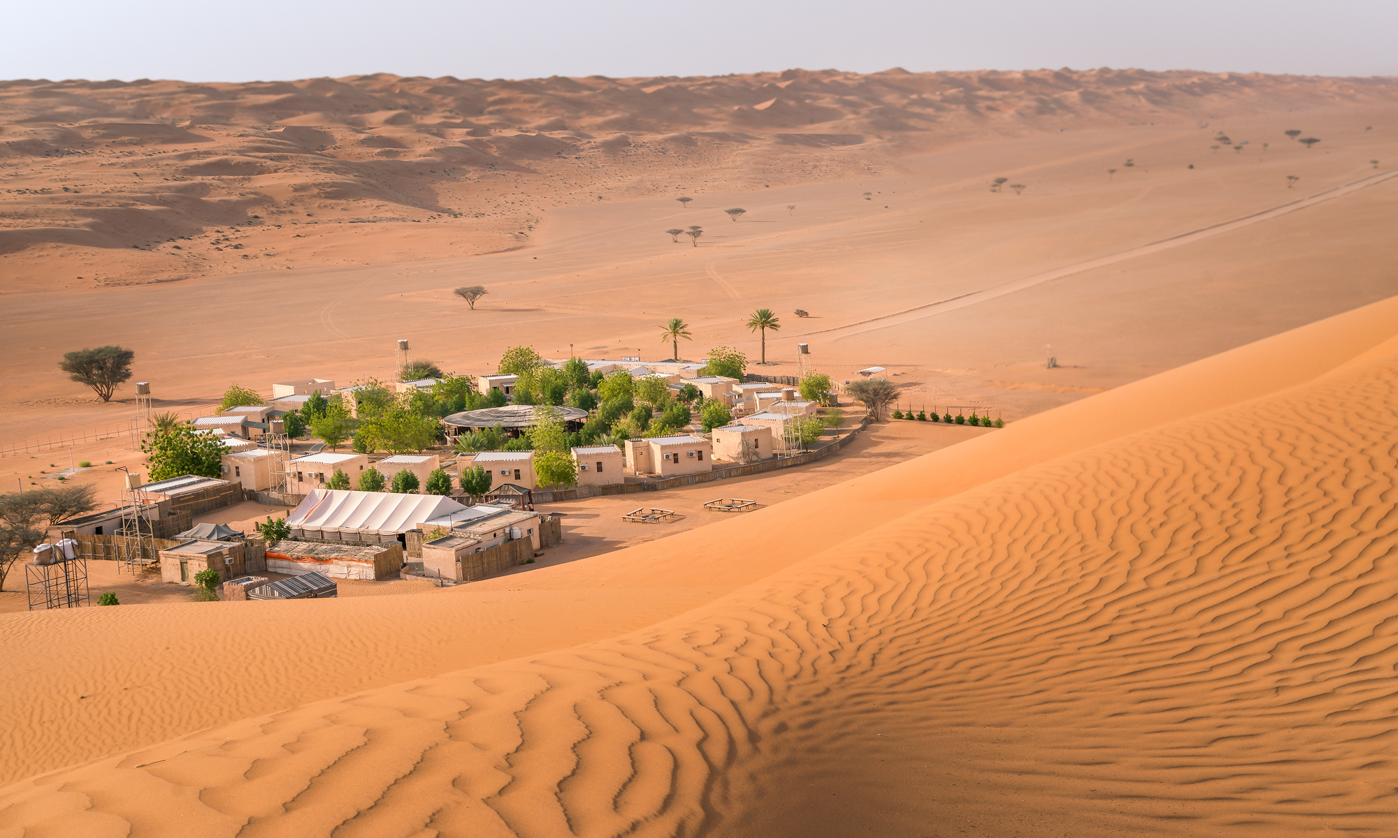 Wunder Omans: Ein 5-tägiges Abenteuer durch Erbe & Natur - Wüste bis Meer – Wahiba 🏜️ nach Maskat über Sur 🐟 und malerische Küste 🌊 - Foto del giorno