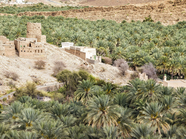 Explorateur d'Oman en 6 jours : des sables du désert aux sommets des montagnes