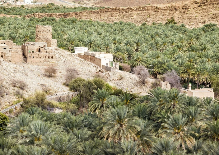 6-daagse Oman Explorer: Van woestijnzand tot bergtoppen - Al Hamra, Birkat Al Mauz & Wahiba Sands Avontuur 🏞️🏜️🐪 - Foto van de dag