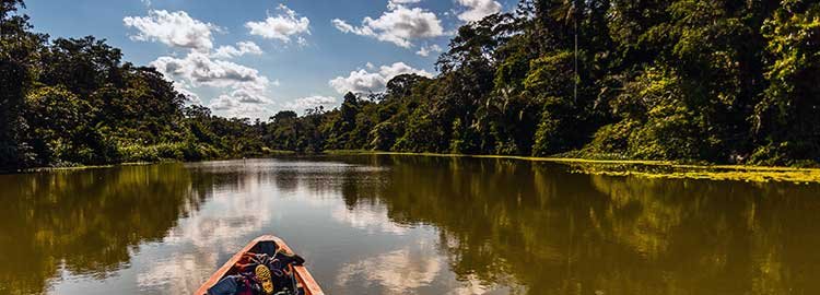 The Ecuadorian classics - Tropical forest excursion - Excursion en forêt tropicale