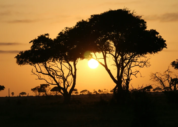 21-daagse Grote Oost-Afrika Expeditie - null - Foto van de dag