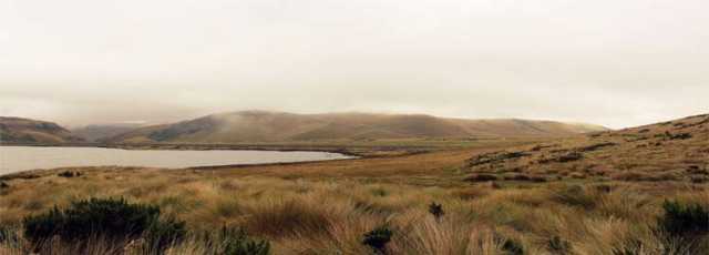 Fauna and flora of Ecuador