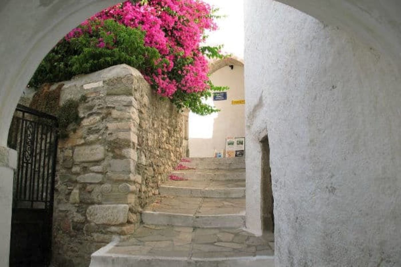 L’Essence de la Grèce : Athènes, Naxos & Santorin - Athènes à Naxos | Transition vers la vie insulaire - Photo du jour