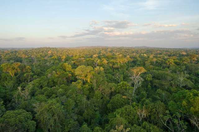 De l'Amazonie au Pacifique