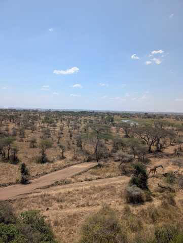 Circuit Safari du Nord de 11 jours et circuit de milieu de gamme à Zanzibar