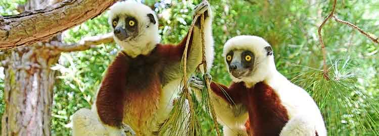 À la découverte du sud-est de Madagascar - Découverte de Mandrare - Découverte de Mandrare