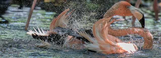 Les beautés de la Colombie