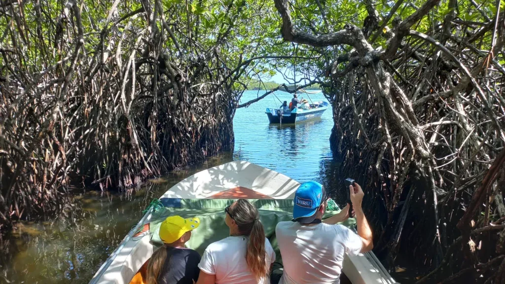 15-Day Private Kosher Sri Lanka Family Tour: Nature, Safari - Madu River, Turtles, and Coastal Culture - Photo of the day