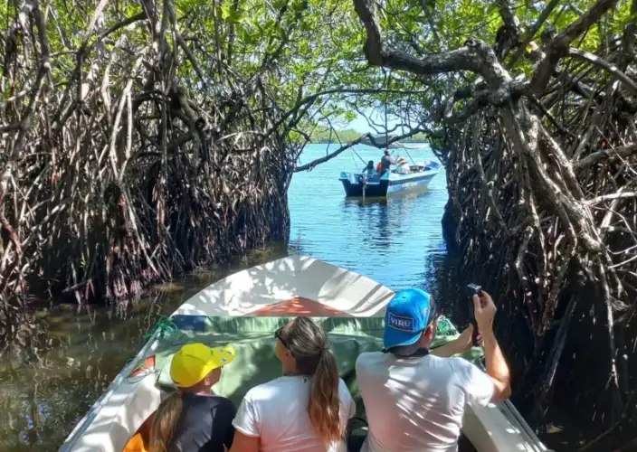 Tour Familiar Privado Kosher de 15 Dias no Sri Lanka: Natureza, Safari - Rio Madu, Tartarugas e Cultura Costeira - Foto van de dag