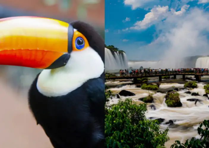 Brasilianisches Erlebnis: Rio, Iguaçu & Salvador - Ankunft in Salvador und Begrüßung - Tagesfoto